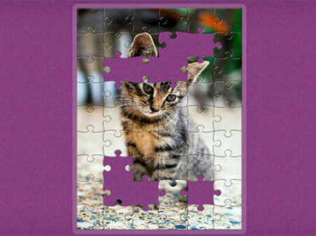 Favorite Puzzlesのゲームプレイ画像