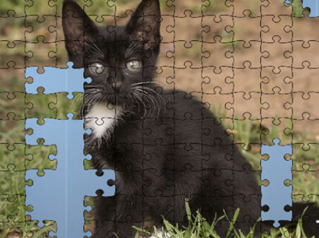 Jigsaw Puzzle: Catsのゲームプレイ画像