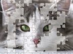 写真のジグソーパズルが大量に遊べるパズルゲーム Jigsaw Puzzle Deluxe