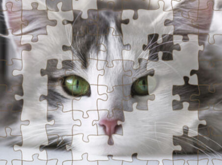 Jigsaw Puzzle Deluxeのゲームプレイ画像