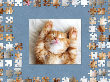 共同プレイできるジグソーパズルのゲームプレイ画像