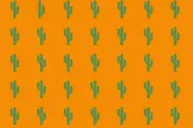 違う模様を探す間違い探しゲーム【パターンド(Patterned)】のゲーム画像