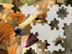 イヌのジグソーパズルを完成させるパズルゲーム Pet Puzzles: Dogs