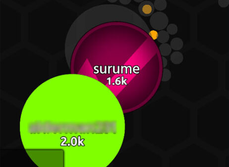 Vanis.ioのゲームプレイ画像